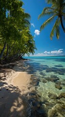 Tranquil beach with palm trees