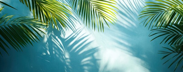 Beautiful palm leaves on a blue background, with a shadow effect. Background, banner, wallpaper