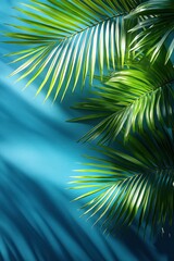 Beautiful palm leaves on a blue background, with a shadow effect. Background, banner, wallpaper