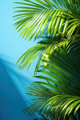 Fototapeta premium Beautiful palm leaves on a blue background, with a shadow effect. Background, banner, wallpaper