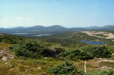 Réserve faunistique des Monts Chic Choc, Gaspésie, Quebec, Canada