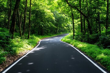 Fototapeta premium A narrow rural road weaving through a dense forest, with sunlight filtering through the canopy of leaves above