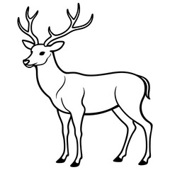 Obraz premium Hand draw Deer vector, line art, silhouette ,black and white