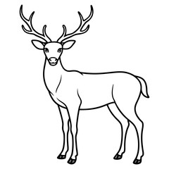 Fototapeta premium Hand draw Deer vector, line art, silhouette ,black and white
