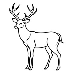 Fototapeta premium Hand draw Deer vector, line art, silhouette ,black and white