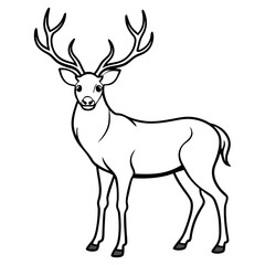 Obraz premium Hand draw Deer vector, line art, silhouette ,black and white