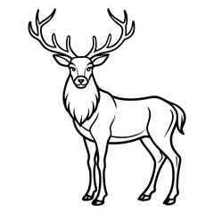Fototapeta premium Hand draw Deer vector, line art, silhouette ,black and white