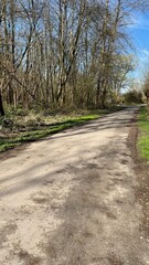 Wanderweg durch die Rheinauen 