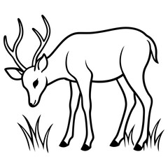 Fototapeta premium Hand draw Deer vector, line art, silhouette ,black and white