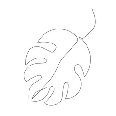  Minimalist line art of a single Monstera leaf, showcasing its iconic split shape. Perfect for tropical-themed designs and minimalist aesthetics.