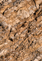 creepy cracks, moss and linches on historic old errodated walls