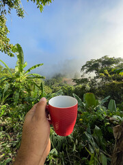 Obraz premium coffee mug 