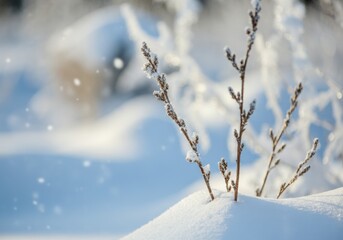Obraz premium Winter Wonderland: Frozen Branches in a Snowy Landscape