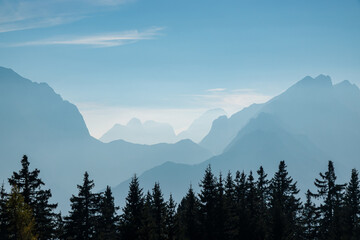 Obraz premium SILHOUETTE: Majestic mountain peaks rising high above the pine trees, their sharp ridges contrasting with the soft mist. Incredible view of towering alpine peaks fading as layers into evening mist.