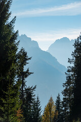 Misty layers of distant mountains rise high behind a thick forest of pine trees. Stunning view of beautiful and pristine alpine nature, with towering mountain peaks fading into the soft morning mist.