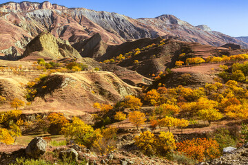 Autumn landscape with colorful trees and mountains covered with trees. Dagestan, Russia
