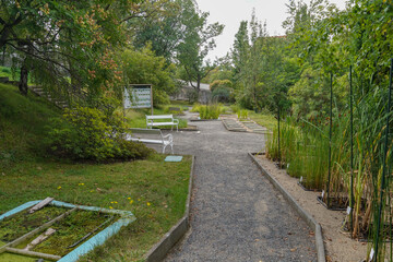 alleys of the Botanical garden of Charle's university in Prague