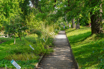 alleys of the Botanical garden of Charle's university in Prague