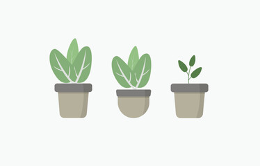 Greenery in Pots. Elegant Plant Illustrations Set. Vector. EPS 10
