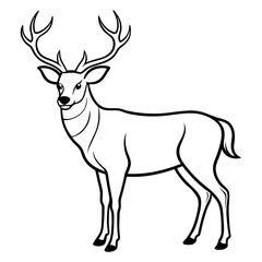 Obraz premium Hand draw Deer vector, line art, silhouette ,black and white