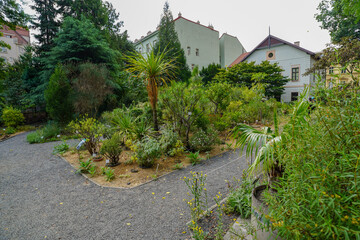 Fototapeta premium Botanical garden of Charle's university in Prague
