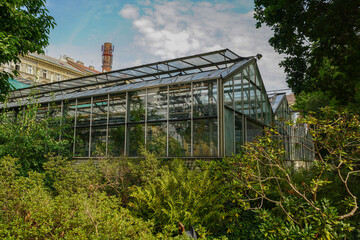 Obraz premium botanical garden of Charle's university in Prague , tropical greenhouses