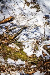 Spring ground covered with thawing snow. Melting ice on dry grass close up.