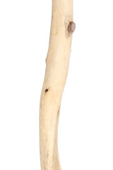 Part of driftwood isolated on white