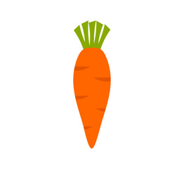 Carrot isolated on white background. Vector illustration.