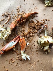 crab on the table