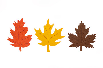 Hand-cut fabric autumn oak and  maple leaves mockups, sample handmade, herbarium, logotype