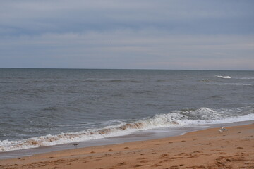 Palm Coast. USA