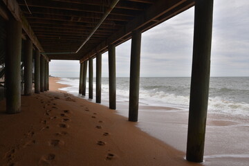 Fototapeta premium Palm Coast. USA