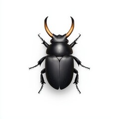 A detailed illustration of a black beetle with striking horns, showcasing intricate textures and vibrant design elements.