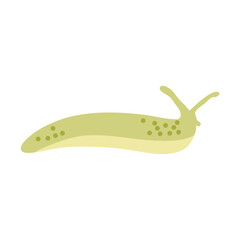 Cartoon slug illustration 