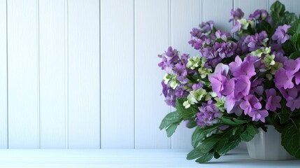 A white background with a vase of purple flowers
