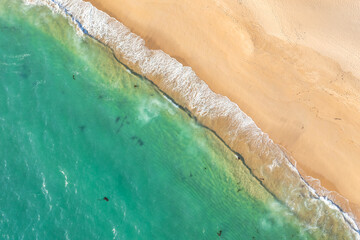 Beach sand sea water summer background. Sand beach desert texture. White foam wave sandy seashore top view.