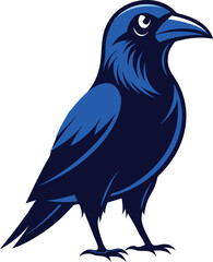 a crow illustration on white