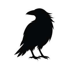  Realistic raven silhouette vector.