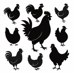 Set of hen, chicken silhouette vector illustration on the white, set of chicken