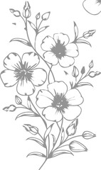 Flower coloring page