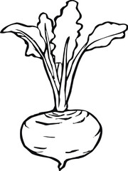 Food coloring page