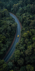 Top down view of curvy, asphalt road surrounded by bunch of evergreen trees. car driving on the road. Beautiful aerial view of dense forest mountain landscape in summer time with curvy road cutting th