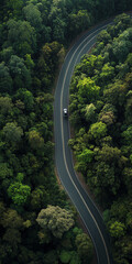 Top down view of curvy, asphalt road surrounded by bunch of evergreen trees. car driving on the road. Beautiful aerial view of dense forest mountain landscape in summer time with curvy road cutting th
