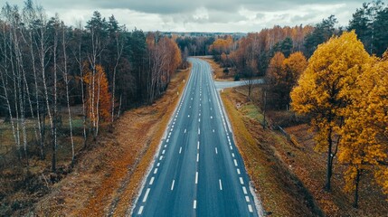Deserted Straight Mountain Road on a Rainy Autumn Day. Some Fallen Leaves are on the Wet Asphalt. Beautiful Fall Colors.