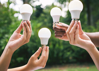 Hands, nature and light bulb for eco friendly, renewable energy and idea with sustainability...