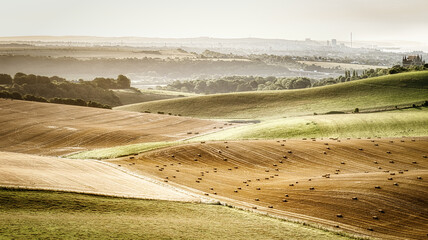 landscape in the morning