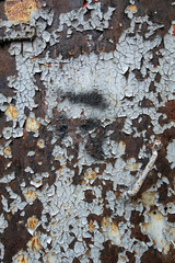 Riga, Latvia Paint peeling on a wooden building in the downtown.