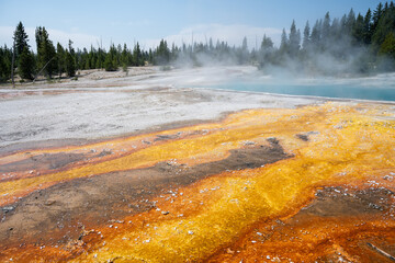 grand prismatic spring park