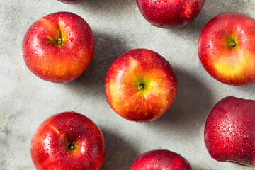 Organic Raw Cosmic Crisp Red Apples
